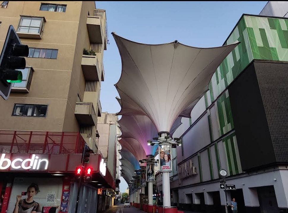 Tulipas del paseo peatonal de la calle Barros Arana en pleno centro de Concepción